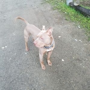 Meet your Posher, Jaymes